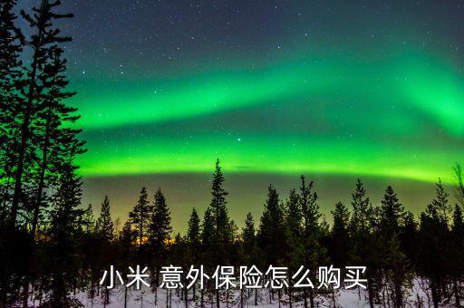  小米 意外保險(xiǎn)怎么購(gòu)買(mǎi)