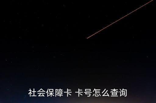 怎么找社?？ㄌ?hào),如何查詢社保賬號(hào)?一文看懂