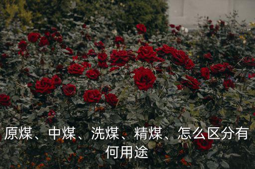 原煤、中煤、洗煤、精煤、怎么區(qū)分有何用途