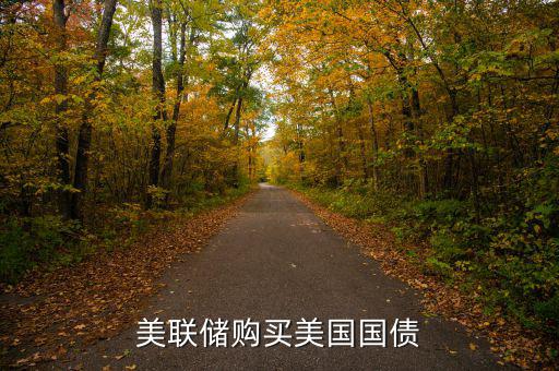 美聯(lián)儲(chǔ)購買美國(guó)國(guó)債