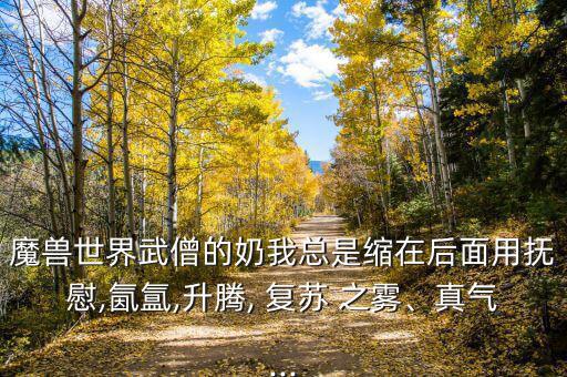 魔獸世界武僧的奶我總是縮在后面用撫慰,氤氳,升騰, 復(fù)蘇 之霧、真氣...