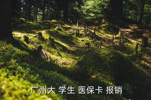  廣州大 學生 醫(yī)?？?報銷