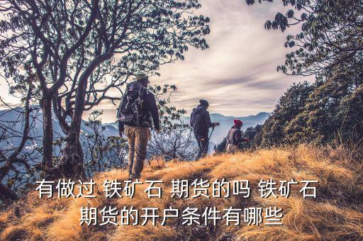 有做過(guò) 鐵礦石 期貨的嗎 鐵礦石 期貨的開(kāi)戶條件有哪些