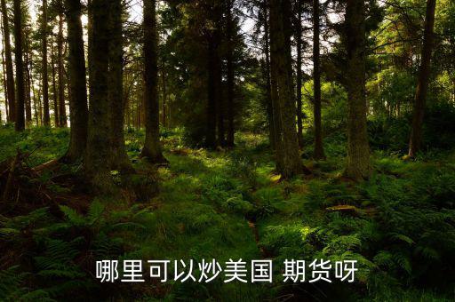 怎么炒美國期貨,期貨交易特點(diǎn):交易費(fèi)用由期貨公司提供；