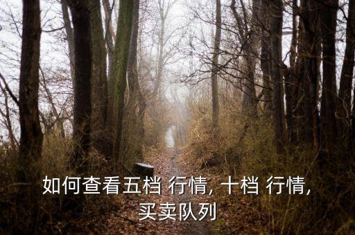 如何查看五檔 行情, 十檔 行情,買(mǎi)賣(mài)隊(duì)列