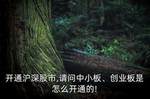 開通滬深股市,請問中小板、創(chuàng)業(yè)板是怎么開通的!