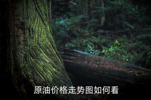  原油價(jià)格走勢圖如何看