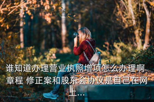 誰知道辦理營業(yè)執(zhí)照增項(xiàng)怎么辦理啊 章程 修正案和股東會協(xié)議是自己在網(wǎng)上...