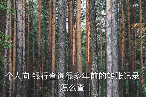 個(gè)人向 銀行查詢(xún)很多年前的轉(zhuǎn)賬記錄怎么查