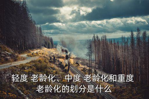 輕度 老齡化、中度 老齡化和重度 老齡化的劃分是什么