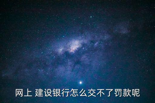 建設銀行怎么交罰單,建行網銀支付罰款操作流程如何進行?