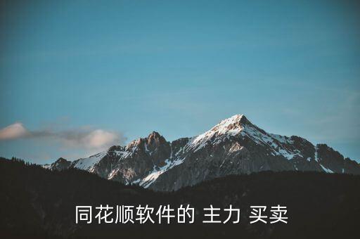  同花順軟件的 主力 買(mǎi)賣