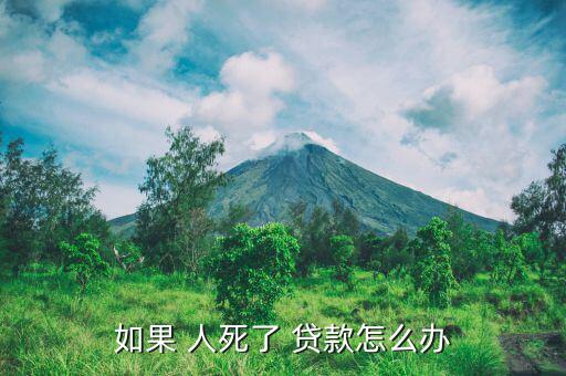人死了怎么轉(zhuǎn)還款貸款,借款人若無力還款保證人有義務償還