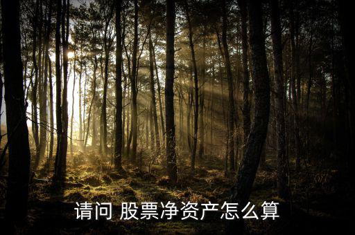 請(qǐng)問 股票凈資產(chǎn)怎么算