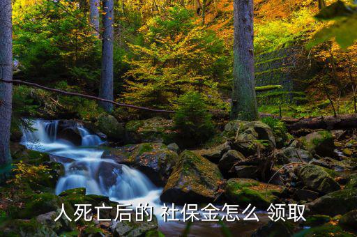 人死后社保怎么領(lǐng)取,如何使用社?？?!