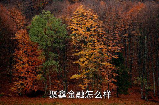 聚鑫國投怎么樣,聚鑫房產經紀公司成立以科技為先導