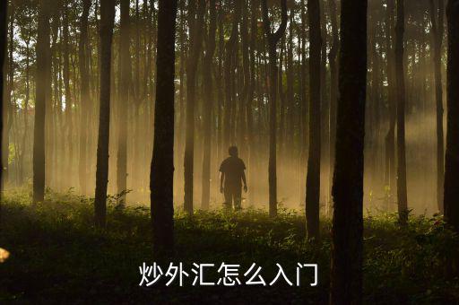 泛融9月怎么出金,正規(guī)平臺(tái)怎么選，怎么學(xué)入門?