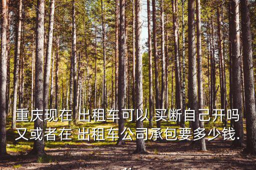 重慶現(xiàn)在 出租車可以 買斷自己開(kāi)嗎又或者在 出租車公司承包要多少錢(qián)...