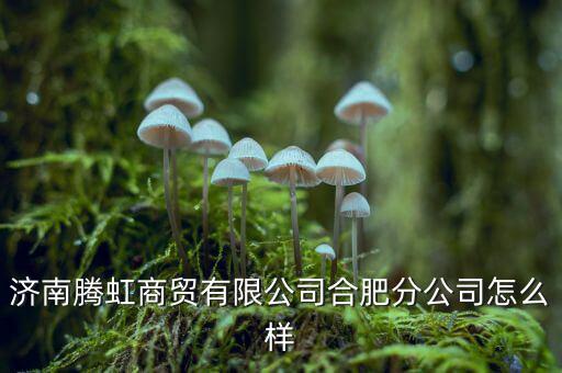騰信嘉華怎么樣,合肥嘉華中心嘉華酒店對(duì)外銷(xiāo)售商