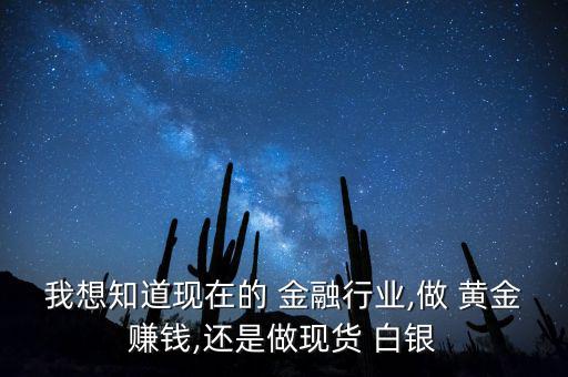 做金融黃金白銀銷(xiāo)售怎么樣,黃金白銀投資有哪些方向?