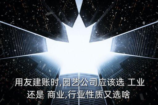 怎么看工業(yè)和商業(yè)用友,如何查詢某個業(yè)務員的明細賬?