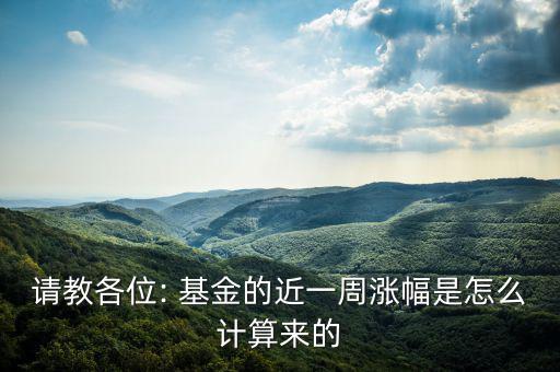 請(qǐng)教各位: 基金的近一周漲幅是怎么計(jì)算來的
