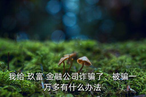 我給 玖富 金融公司詐騙了、被騙一萬多有什么辦法