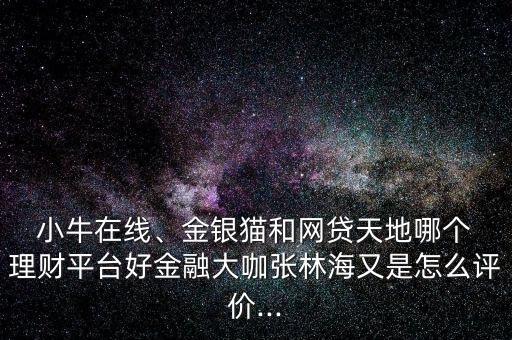  小牛在線、金銀貓和網(wǎng)貸天地哪個(gè) 理財(cái)平臺(tái)好金融大咖張林海又是怎么評(píng)價(jià)...