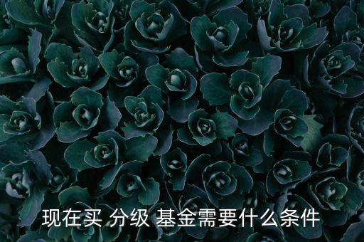 現在買 分級 基金需要什么條件