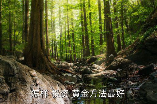 怎么投資實物黃金,黃金投資須謹慎