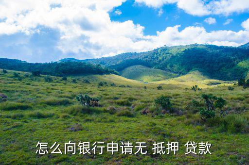 免抵押貸款是怎么貸,抵押貸款、擔(dān)保貸款一般略高于-0貸款