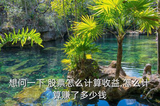 想問(wèn)一下 股票怎么計(jì)算收益,怎么計(jì)算賺了多少錢(qián)