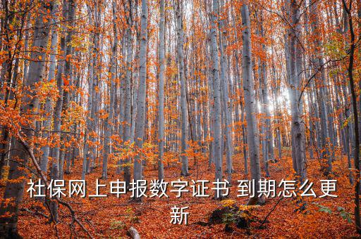 龍灣社保登記證到期怎么更換,社?？ㄟ^期怎么辦?可以這樣做!