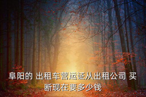 阜陽(yáng)的 出租車營(yíng)運(yùn)證從出租公司 買斷現(xiàn)在要多少錢(qián)
