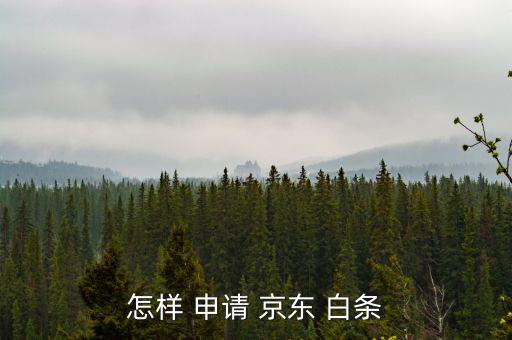 怎樣 申請(qǐng) 京東 白條