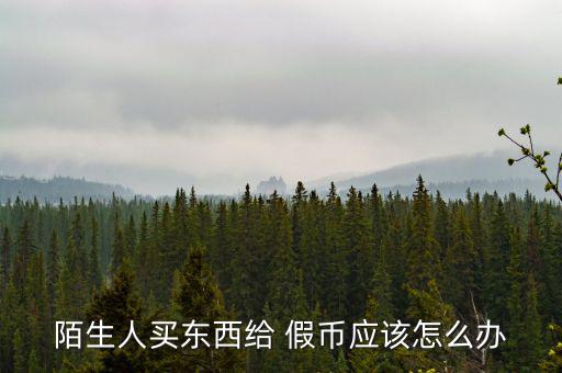 陌生人買(mǎi)東西給 假幣應(yīng)該怎么辦