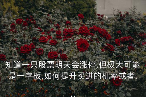 知道一只股票明天會(huì)漲停,但極大可能是一字板,如何提升買(mǎi)進(jìn)的機(jī)率或者...