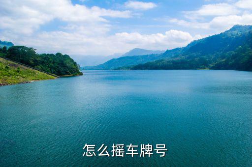 怎么搖車(chē)牌號(hào)