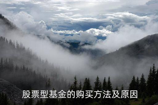  股票型基金的購(gòu)買(mǎi)方法及原因