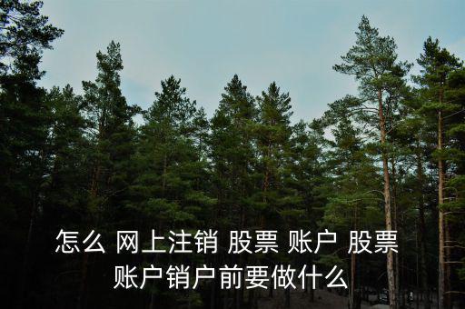 怎么 網(wǎng)上注銷(xiāo) 股票 賬戶 股票 賬戶銷(xiāo)戶前要做什么