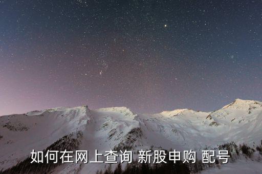 中原證券交易軟件怎么看新股配號(hào),新股配號(hào)查詢(xún)