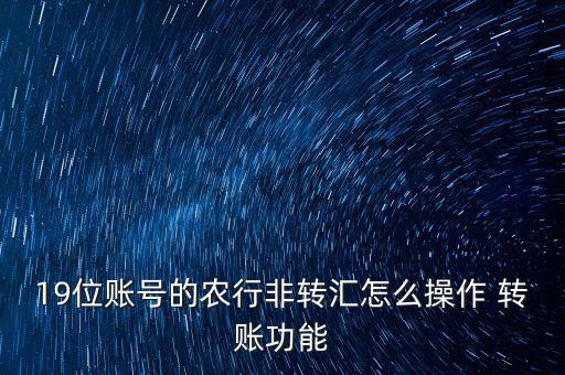 19位賬號(hào)的農(nóng)行非轉(zhuǎn)匯怎么操作 轉(zhuǎn)賬功能