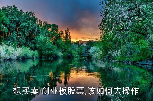 想買(mǎi)賣(mài) 創(chuàng)業(yè)板股票,該如何去操作