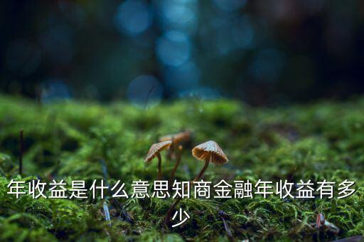 資金占用年收益是什么意思，利息支出中有個(gè)資金占用費(fèi)這個(gè)是什么意思
