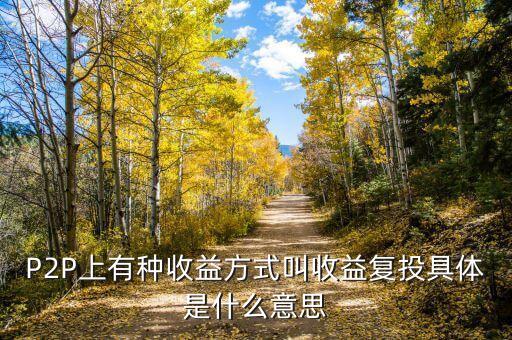 收益再投資什么意思，P2P上有種收益方式叫收益復(fù)投具體是什么意思