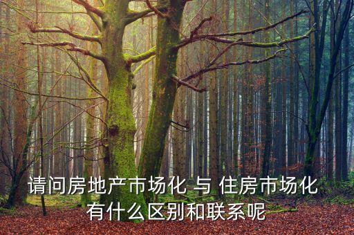 什么是房地產(chǎn)市場化，房地產(chǎn)市場分化甚么意思