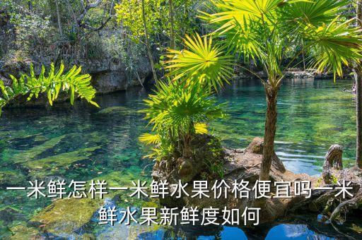 一米鮮為什么做垮了，一米鮮主要是做什么銷(xiāo)售誰(shuí)能告訴我