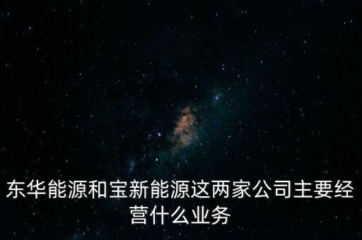 東華能源和寶新能源這兩家公司主要經(jīng)營什么業(yè)務