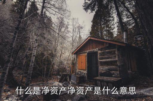 什么是凈資產(chǎn)，什么是凈資產(chǎn)凈資產(chǎn)是什么意思