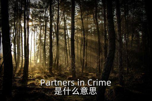 人工角膜是什么，Partners in Crime是什么意思
